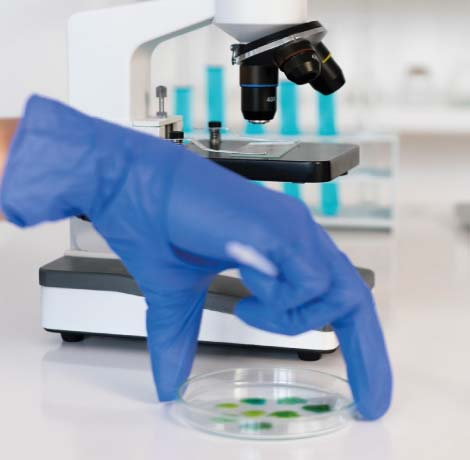 Innovación Responsable en medicina de precisión: protocolos optimizados y soluciones personalizadas para investigadores, médicos y farmacéuticas.